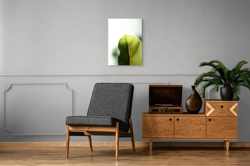 Tablou Canvas, "Textura subtilă a frunzei verzi", Frumusețe, Natură, Detaliu, Verde, Textură, Lumină, Prospețime, 50 x 70 cm – poza 8