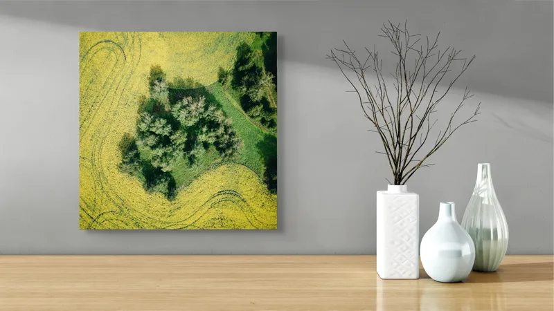 Tablou Canvas, "Insulă verde în ocean galben", Câmp, Copaci, Verde, Galben, Model, Natură, Aerială, Peisaj, 50 x 50 cm – poza 3