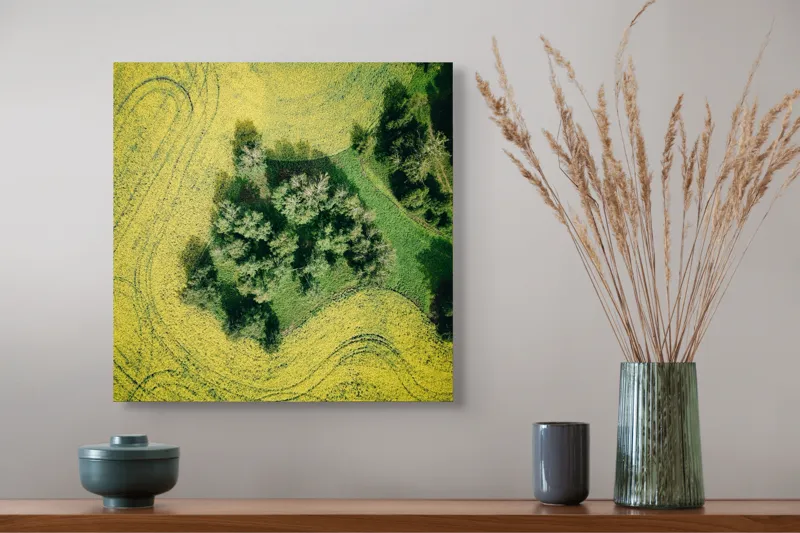 Tablou Canvas, "Insulă verde în ocean galben", Câmp, Copaci, Verde, Galben, Model, Natură, Aerială, Peisaj, 50 x 50 cm – poza 4