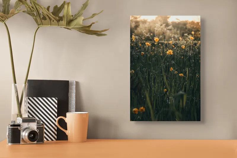 Tablou Canvas, "Razele soarelui printre flori galbene", Flori, Galbene, Fragilitate, Lumină, Primăvară, Iarbă, Răsărit, Natură, Blândețe, Răcoare, 26 x 39 cm – poza 3