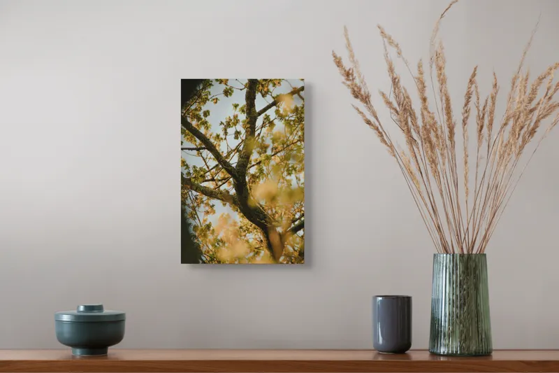 Tablou Canvas, "Frumusețea liniștită a primăverii", Ramuri, Frunze, Cer, Verdeață, Primăvară, Natură, Lumină, Texturi, 26 x 39 cm – poza 5