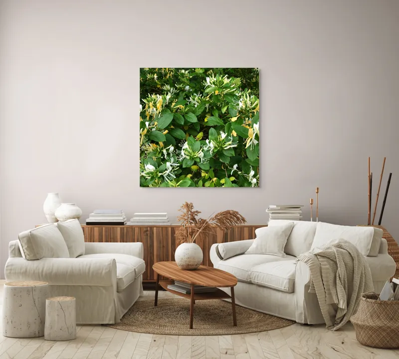 Tablou Canvas, "Floarea parfumată a verii verzi", Flori, Frunziș, Verde, Alb, Galben, Natură, Luxuriant, Delicat, Aromatic, Viu, 100 x 100 cm – poza 3