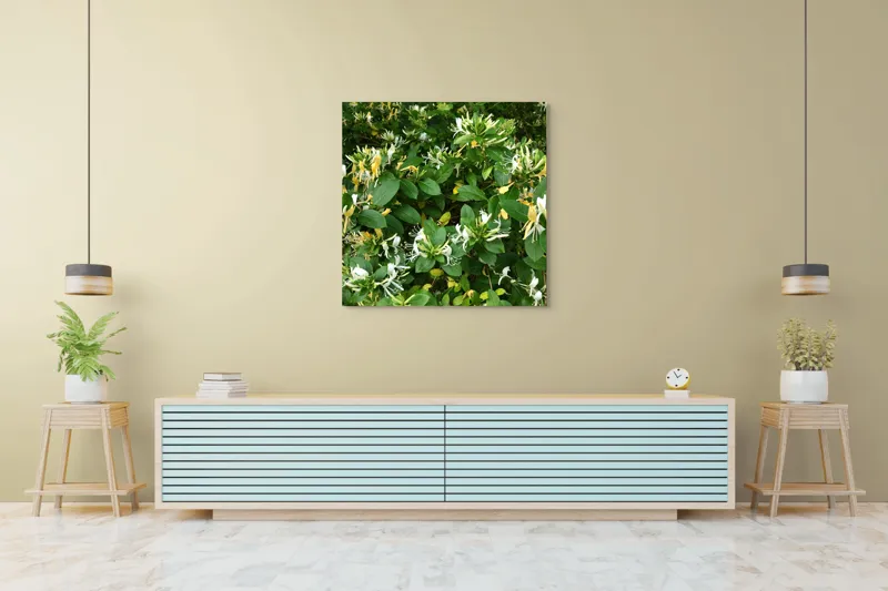 Tablou Canvas, "Floarea parfumată a verii verzi", Flori, Frunziș, Verde, Alb, Galben, Natură, Luxuriant, Delicat, Aromatic, Viu, 100 x 100 cm – poza 5