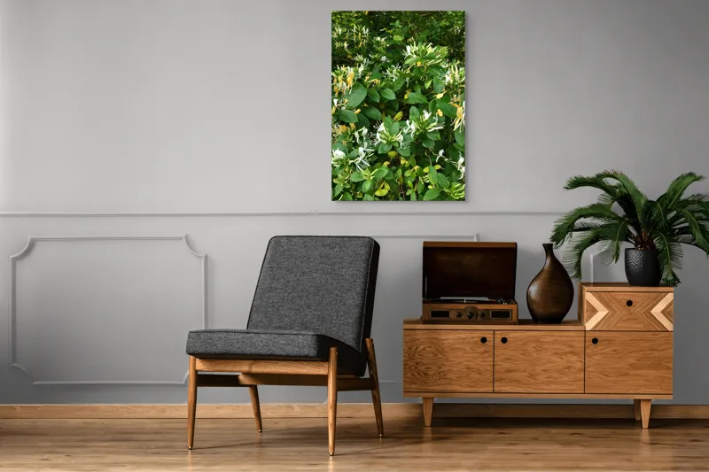 Tablou Canvas, "Floarea parfumată a verii verzi", Flori, Frunziș, Verde, Alb, Galben, Natură, Luxuriant, Delicat, Aromatic, Viu, 70 x 100 cm – poza 6