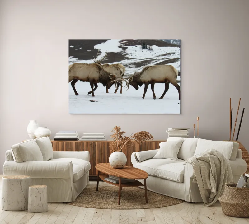 Tablou Canvas, "Cerbi se confruntă în peisaj hibernal", Cerbi, Coarne, Zăpadă, Munți, Iarnă, Natură, Luptă, Animale, Sălbăticie, Peisaj., 150 x 100 cm – poza 3