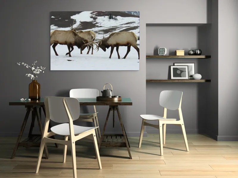 Tablou Canvas, "Cerbi se confruntă în peisaj hibernal", Cerbi, Coarne, Zăpadă, Munți, Iarnă, Natură, Luptă, Animale, Sălbăticie, Peisaj., 150 x 100 cm – poza 5