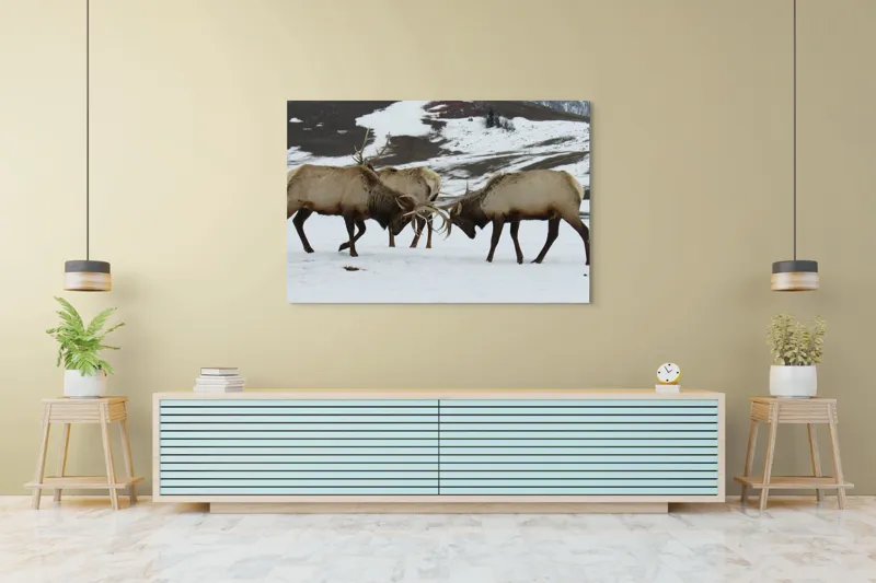 Tablou Canvas, "Cerbi se confruntă în peisaj hibernal", Cerbi, Coarne, Zăpadă, Munți, Iarnă, Natură, Luptă, Animale, Sălbăticie, Peisaj., 150 x 100 cm – poza 6