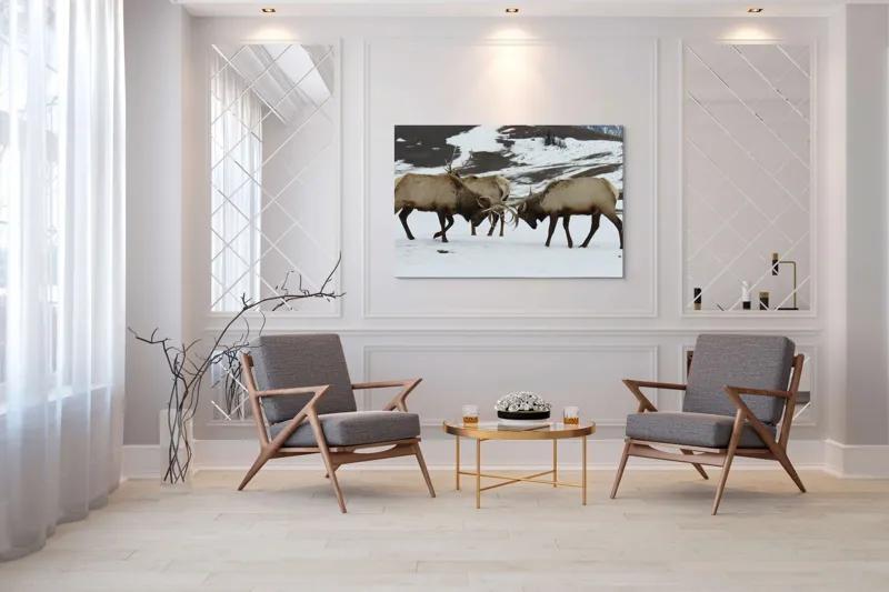 Tablou Canvas, "Cerbi se confruntă în peisaj hibernal", Cerbi, Coarne, Zăpadă, Munți, Iarnă, Natură, Luptă, Animale, Sălbăticie, Peisaj., 150 x 100 cm – poza 7