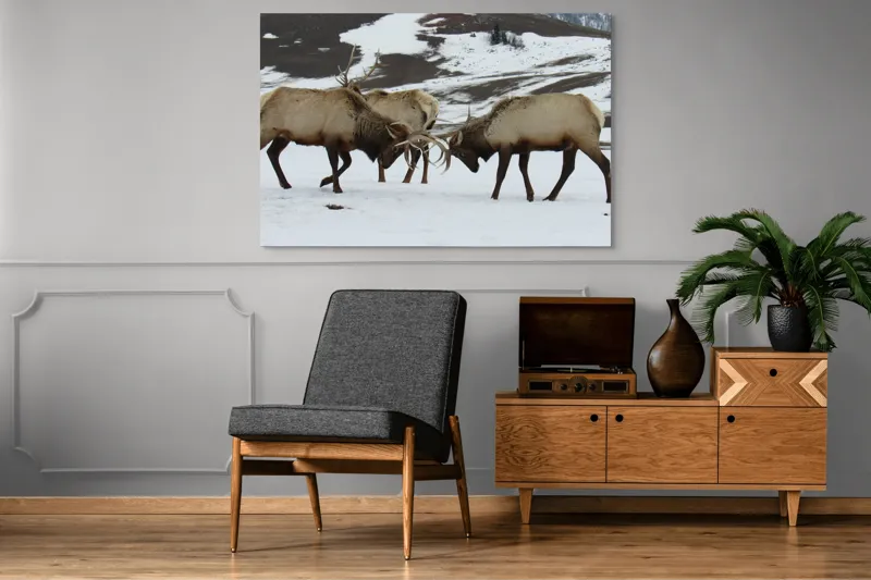 Tablou Canvas, "Cerbi se confruntă în peisaj hibernal", Cerbi, Coarne, Zăpadă, Munți, Iarnă, Natură, Luptă, Animale, Sălbăticie, Peisaj., 150 x 100 cm – poza 8