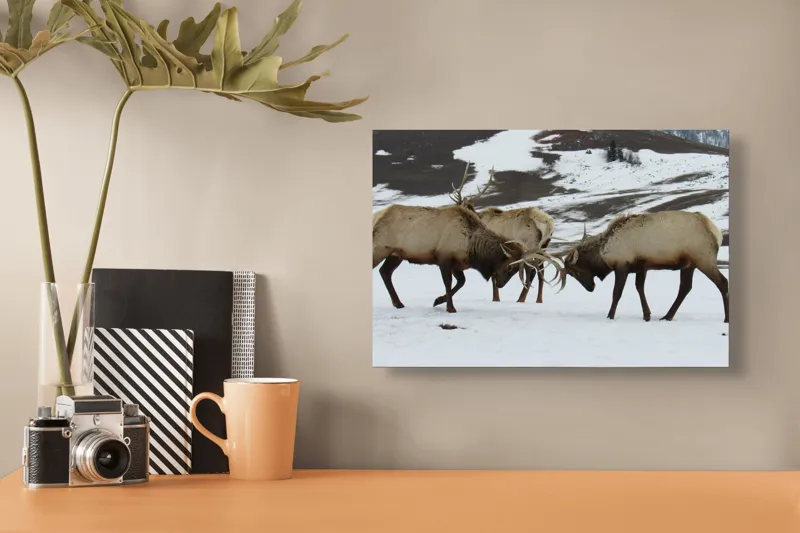 Tablou Canvas, "Cerbi se confruntă în peisaj hibernal", Cerbi, Coarne, Zăpadă, Munți, Iarnă, Natură, Luptă, Animale, Sălbăticie, Peisaj., 39 x 26 cm – poza 3