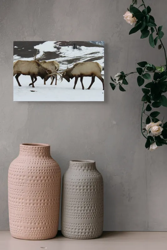 Tablou Canvas, "Cerbi se confruntă în peisaj hibernal", Cerbi, Coarne, Zăpadă, Munți, Iarnă, Natură, Luptă, Animale, Sălbăticie, Peisaj., 39 x 26 cm – poza 4