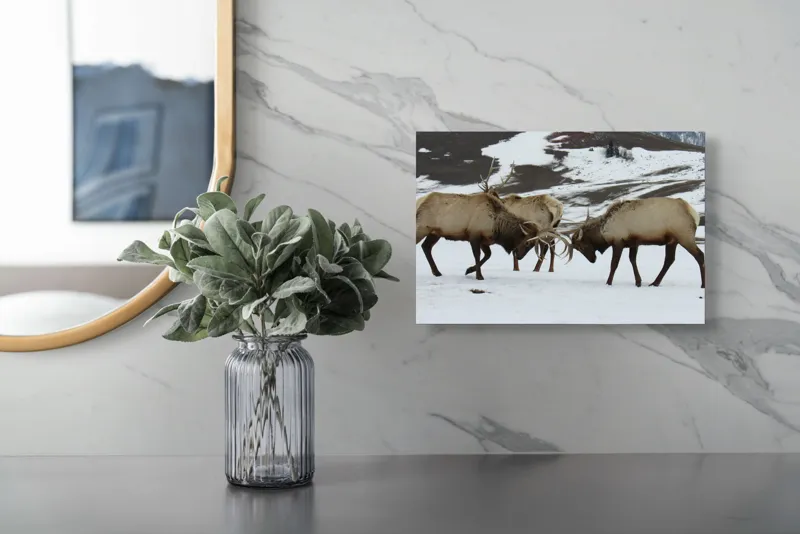 Tablou Canvas, "Cerbi se confruntă în peisaj hibernal", Cerbi, Coarne, Zăpadă, Munți, Iarnă, Natură, Luptă, Animale, Sălbăticie, Peisaj., 39 x 26 cm – poza 5