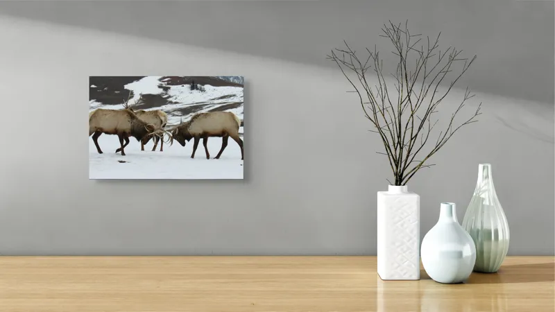Tablou Canvas, "Cerbi se confruntă în peisaj hibernal", Cerbi, Coarne, Zăpadă, Munți, Iarnă, Natură, Luptă, Animale, Sălbăticie, Peisaj., 39 x 26 cm – poza 8