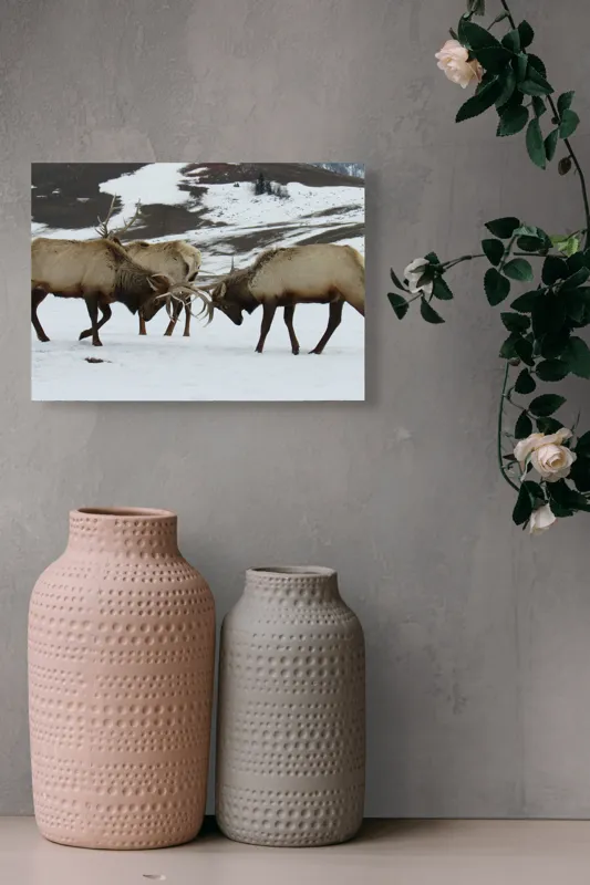 Tablou Canvas, "Cerbi se confruntă în peisaj hibernal", Cerbi, Coarne, Zăpadă, Munți, Iarnă, Natură, Luptă, Animale, Sălbăticie, Peisaj., 54 x 39 cm – poza 8
