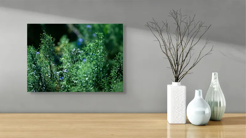 Tablou Canvas, "Dance vegetal în lumina verii", Natură, Verdeață, Flori, Lumină, Vitalitate, Prospețime, Armonie, Serenitate, 54 x 39 cm – poza 3