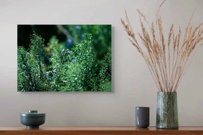 Tablou Canvas, "Dance vegetal în lumina verii", Natură, Verdeață, Flori, Lumină, Vitalitate, Prospețime, Armonie, Serenitate, 54 x 39 cm – poza 4