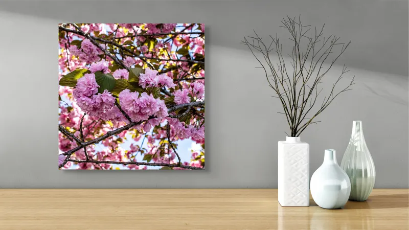 Tablou Canvas, "Splendoarea înfloririi primăverii roze", Flori, Roz, Ramuri, Cer, Frunze, Primăvară, Natură, Delicatețe, 50 x 50 cm – poza 3