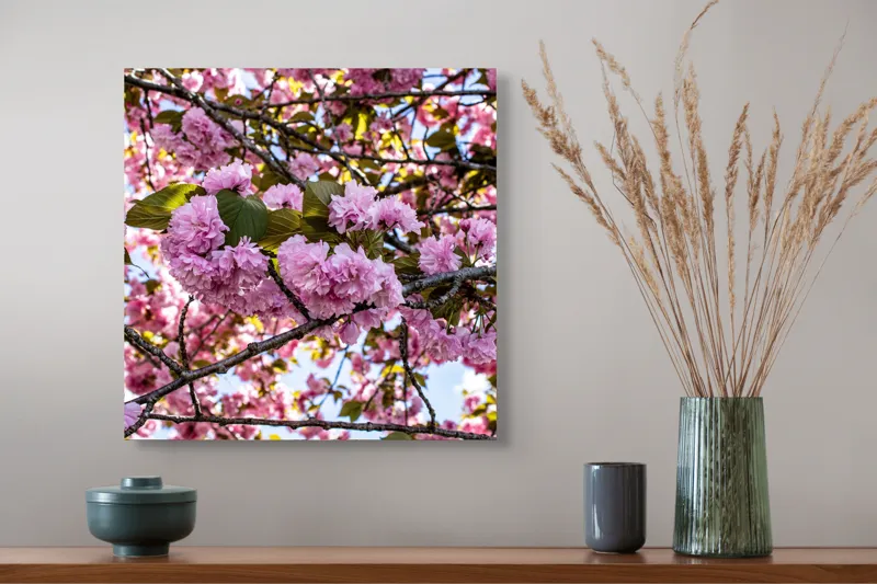 Tablou Canvas, "Splendoarea înfloririi primăverii roze", Flori, Roz, Ramuri, Cer, Frunze, Primăvară, Natură, Delicatețe, 50 x 50 cm – poza 4