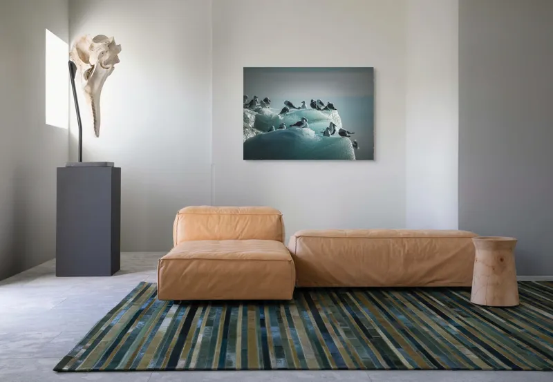Tablou Canvas Păsări odihnindu-se pe blocurile de gheață Natură și Calm, 100 x 70 cm – poza 7