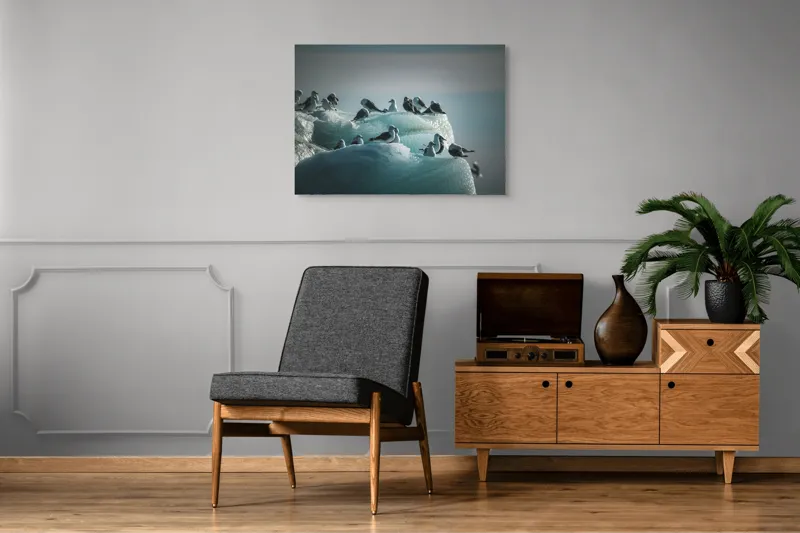 Tablou Canvas Păsări odihnindu-se pe blocurile de gheață Natură și Calm, 100 x 70 cm – poza 8
