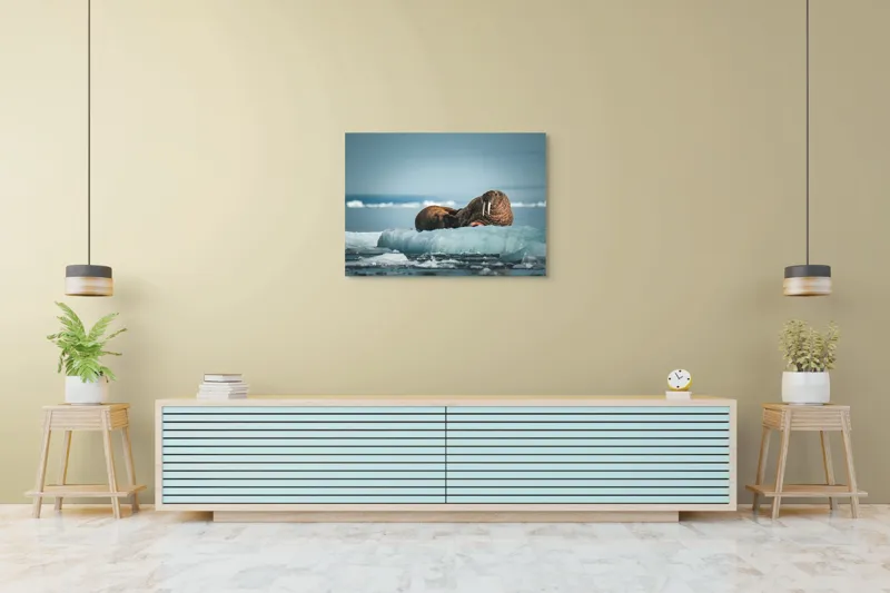 Tablou Canvas, "Morse odihnindu-se pe gheață arctică", Morsa, Gheață, Ocean, Cer, Peisaj, Frig, Natură, Mări, Timp, Repaus, 100 x 70 cm – poza 4