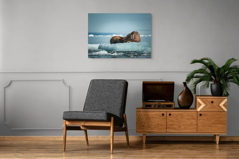 Tablou Canvas, "Morse odihnindu-se pe gheață arctică", Morsa, Gheață, Ocean, Cer, Peisaj, Frig, Natură, Mări, Timp, Repaus, 100 x 70 cm – poza 8