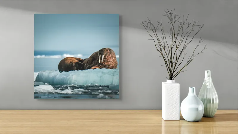 Tablou Canvas, "Morse odihnindu-se pe gheață arctică", Morsa, Gheață, Ocean, Cer, Peisaj, Frig, Natură, Mări, Timp, Repaus, 50 x 50 cm – poza 3