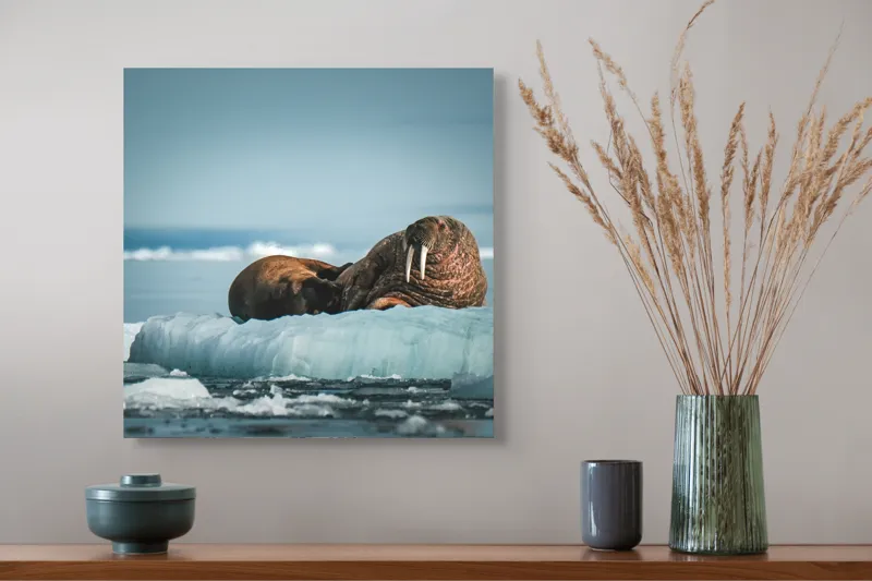 Tablou Canvas, "Morse odihnindu-se pe gheață arctică", Morsa, Gheață, Ocean, Cer, Peisaj, Frig, Natură, Mări, Timp, Repaus, 50 x 50 cm – poza 4
