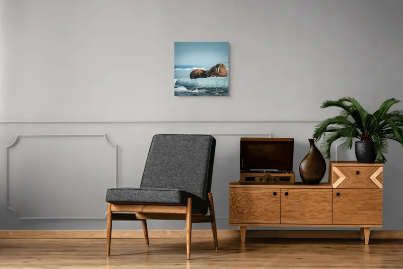Tablou Canvas, "Morse odihnindu-se pe gheață arctică", Morsa, Gheață, Ocean, Cer, Peisaj, Frig, Natură, Mări, Timp, Repaus, 50 x 50 cm – poza 6