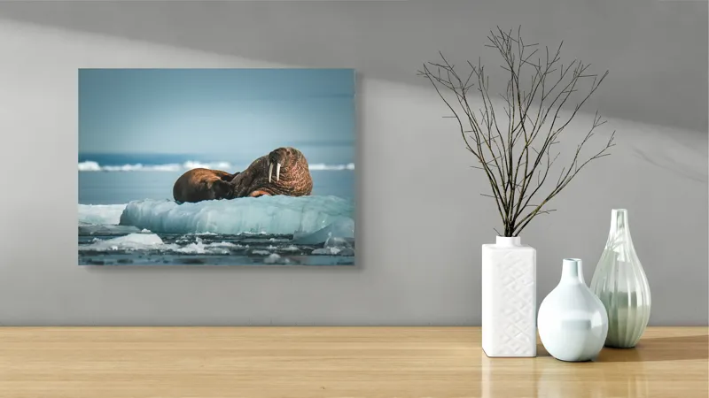 Tablou Canvas, "Morse odihnindu-se pe gheață arctică", Morsa, Gheață, Ocean, Cer, Peisaj, Frig, Natură, Mări, Timp, Repaus, 54 x 39 cm – poza 3