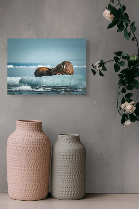 Tablou Canvas, "Morse odihnindu-se pe gheață arctică", Morsa, Gheață, Ocean, Cer, Peisaj, Frig, Natură, Mări, Timp, Repaus, 54 x 39 cm – poza 8