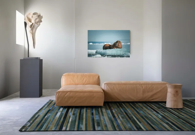 Tablou Canvas, "Morse odihnindu-se pe gheață arctică", Morsa, Gheață, Ocean, Cer, Peisaj, Frig, Natură, Mări, Timp, Repaus, 90 x 50 cm – poza 8