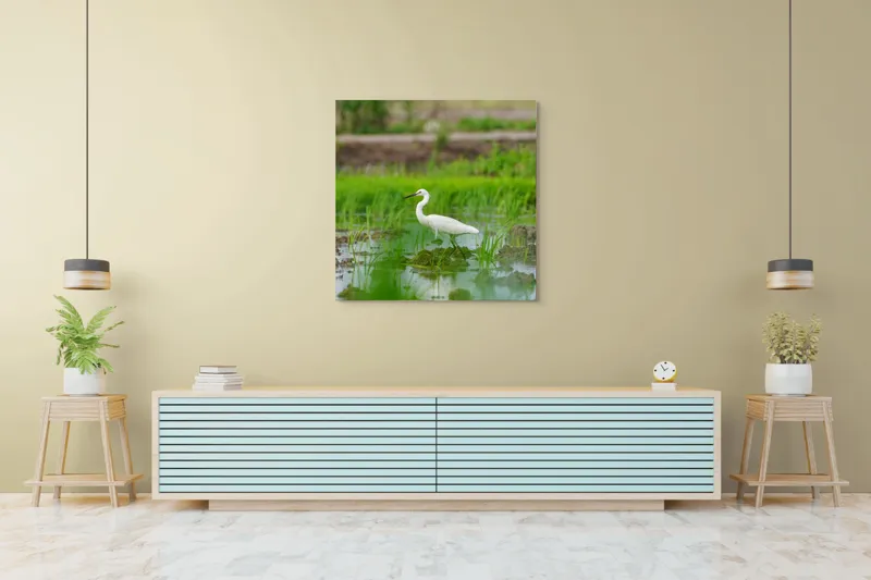 Tablou Canvas Egreta solitară în mijlocul naturii Peisaj Serenitate, 100 x 100 cm – poza 5
