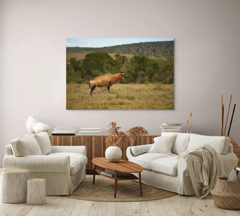 Tablou Canvas Antilopă pe Savană Natură Peisaj Animal, 150 x 100 cm – poza 3