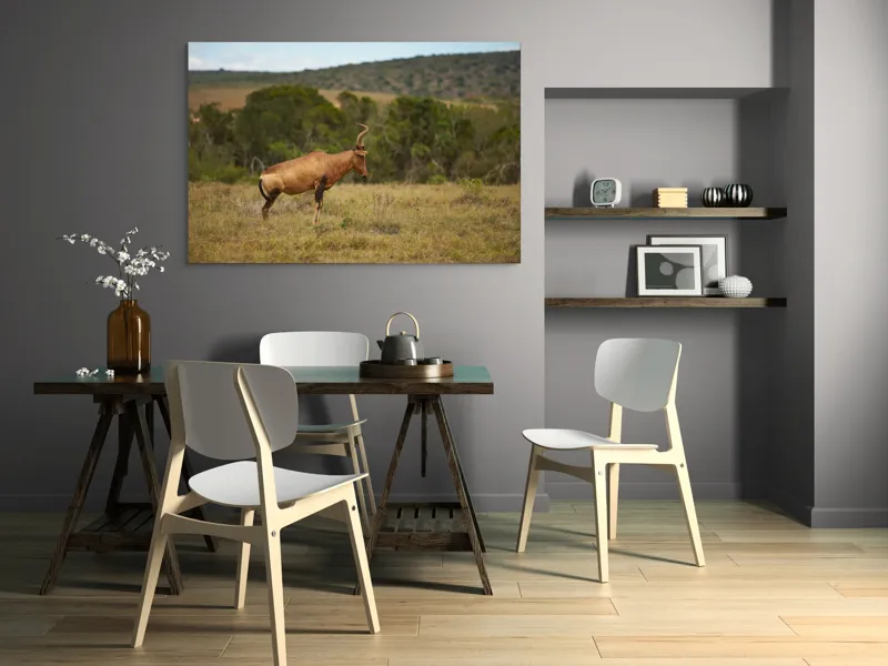 Tablou Canvas Antilopă pe Savană Natură Peisaj Animal, 150 x 100 cm – poza 5