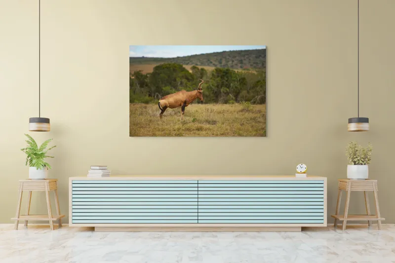 Tablou Canvas Antilopă pe Savană Natură Peisaj Animal, 150 x 100 cm – poza 6