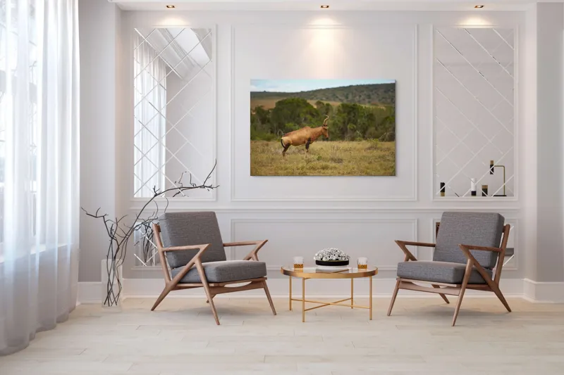 Tablou Canvas Antilopă pe Savană Natură Peisaj Animal, 150 x 100 cm – poza 7