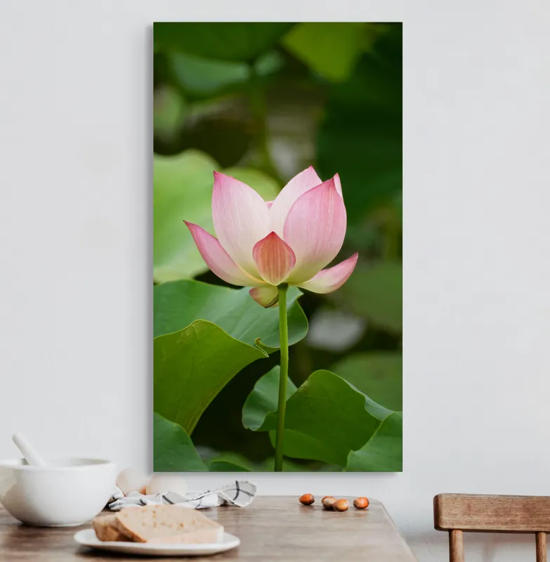 Tablou Canvas Floare Lotus Roz Natură Delicată Grațioasă, 50 x 90 cm – poza 3