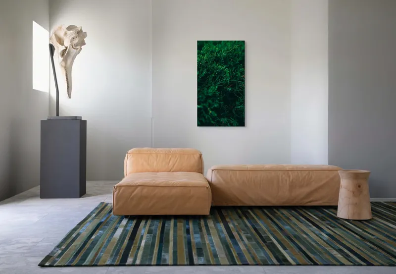 Tablou Canvas, "Verdele naturii în prim-plan misterios", 50 x 90 cm – poza 5