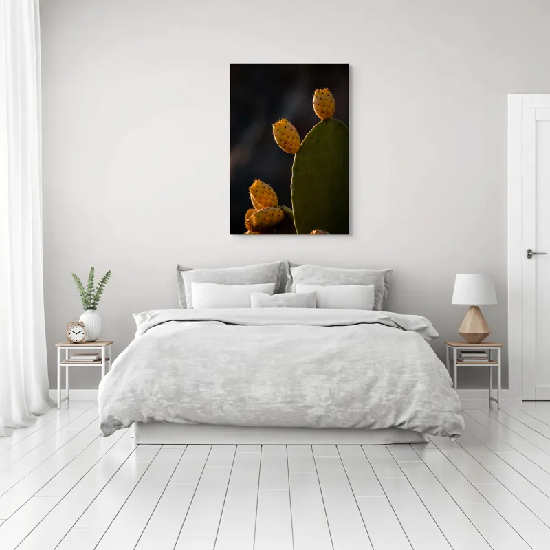 Tablou Canvas, "Fructele aurii ale cactușului nopții", Spini, Cactus, Fruct, Verde, Lumina, Umbră, Textură, Natura, 70 x 100 cm – poza 3