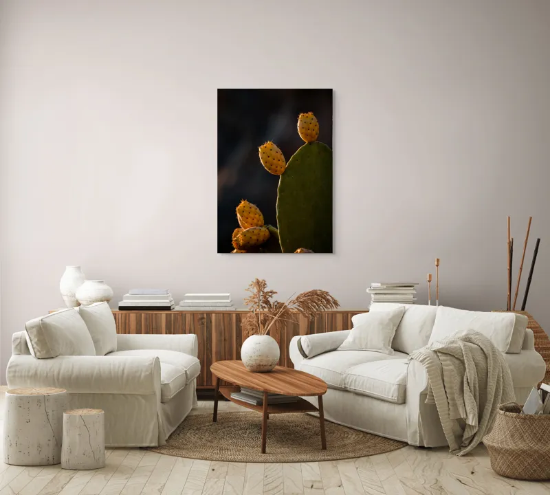 Tablou Canvas, "Fructele aurii ale cactușului nopții", Spini, Cactus, Fruct, Verde, Lumina, Umbră, Textură, Natura, 70 x 100 cm – poza 4