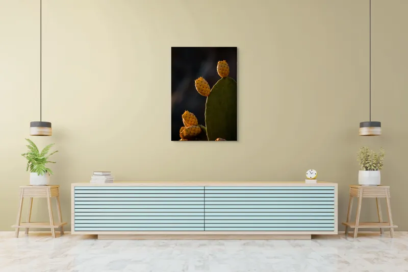 Tablou Canvas, "Fructele aurii ale cactușului nopții", Spini, Cactus, Fruct, Verde, Lumina, Umbră, Textură, Natura, 70 x 100 cm – poza 5