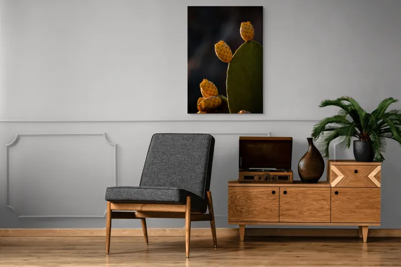 Tablou Canvas, "Fructele aurii ale cactușului nopții", Spini, Cactus, Fruct, Verde, Lumina, Umbră, Textură, Natura, 70 x 100 cm – poza 6