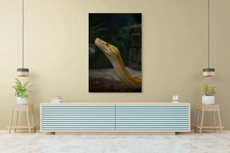 Tablou Canvas, "Șarpele regal în lumina serii", Șarpe, Galben, Lucios, Solzi, Privire, Misterios, Exotic, Silențios., 100 x 150 cm – poza 4