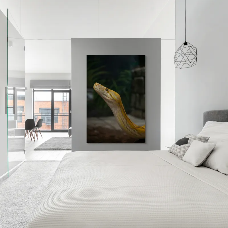 Tablou Canvas, "Șarpele regal în lumina serii", Șarpe, Galben, Lucios, Solzi, Privire, Misterios, Exotic, Silențios., 100 x 150 cm – poza 5