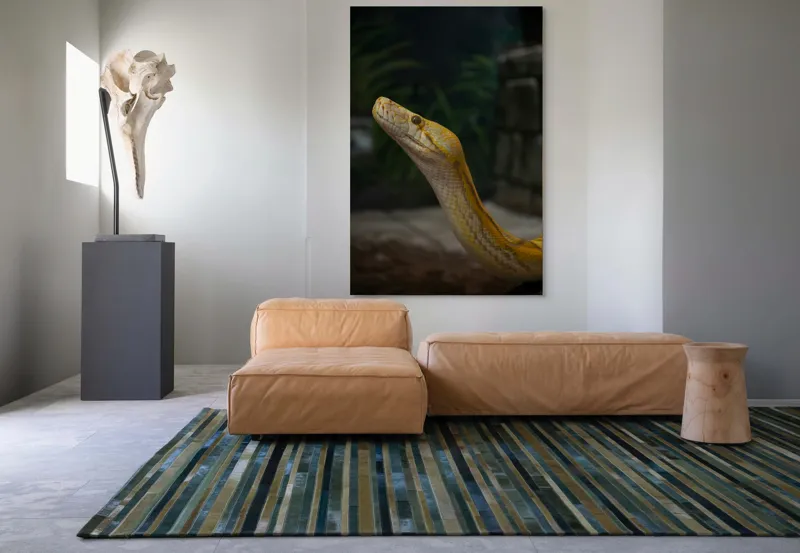 Tablou Canvas, "Șarpele regal în lumina serii", Șarpe, Galben, Lucios, Solzi, Privire, Misterios, Exotic, Silențios., 100 x 150 cm – poza 7