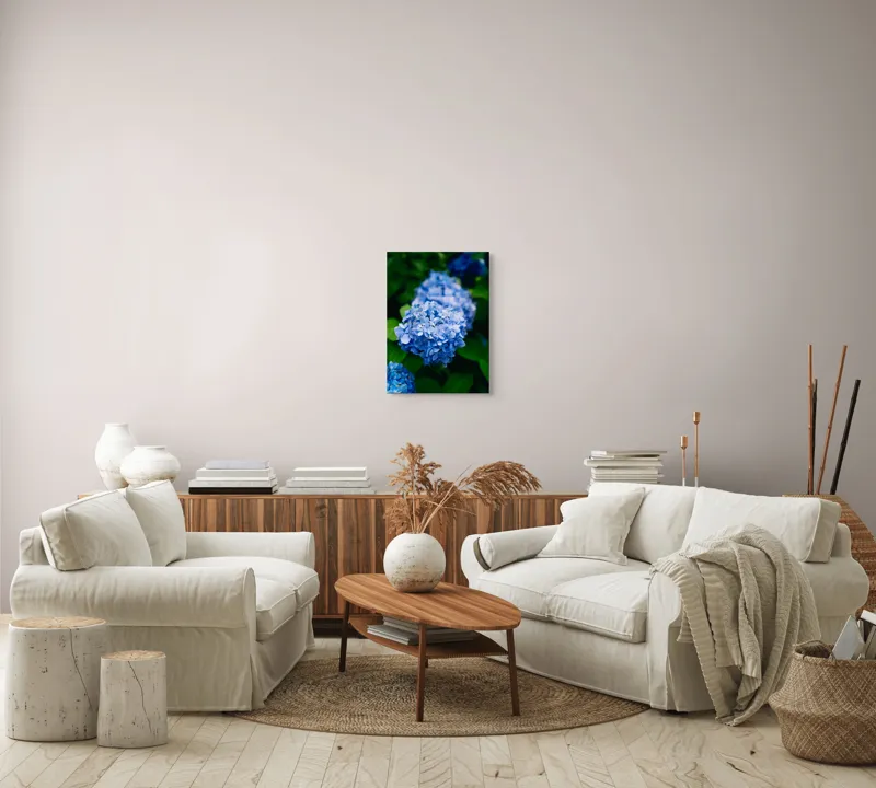 Tablou Canvas, "Hortensii albastre în grădina de vară", Albastru, Flori, Hortensii, Frunze, Verde, Delicat, Natură, Grădină, Viu, Calm., 39 x 54 cm – poza 5
