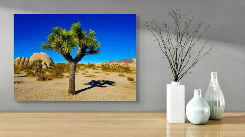 Tablou Canvas, "Umbra solitară în deșertul arid", Copac, Desert, Cer, Albastru, Soare, Umbre, Pietre, Vegetație, Ariditate, Vedere, Natură, Peisaj, 70 x 50 cm – poza 3