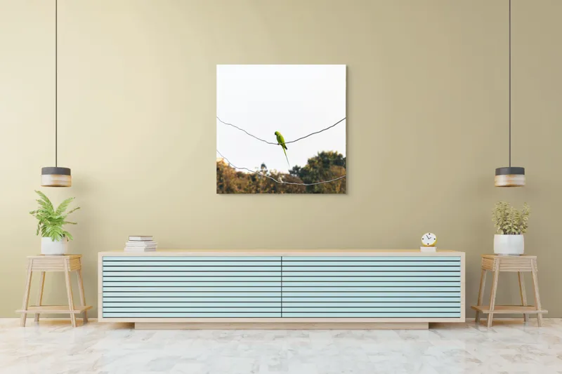 Tablou Canvas, "Papagal pe fire sub cer senin", Verde, Papagal, Crengi, Cer, Natural, Solitar, Zbor, Pene, Linie, Fire, Peisaj, Păsărește, Aripi, Echilibru, Arbori, 100 x 100 cm – poza 5