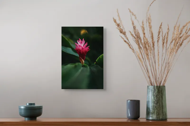 Tablou Canvas, "Floare exotică în amurg verde", Floare, Exotica, Roz, Frunze, Verde, Lumina, Mister, Contrast, Frumusete, Eleganta, 26 x 39 cm – poza 5